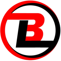 株式会社ボーダレス